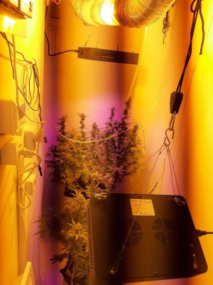 20221213_131210.jpg 20221213_131210.jpg