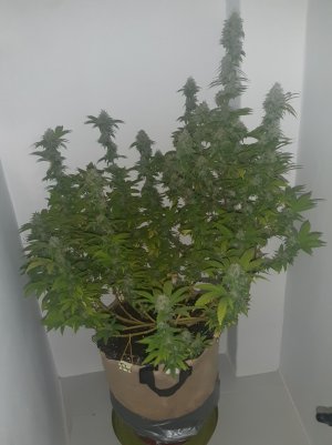 20221213_132728.jpg 20221213_132728.jpg