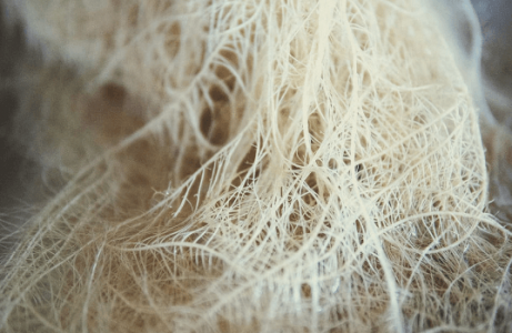 1670948005519.png 1670948005519.png