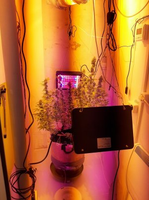 20221214_091838.jpg 20221214_091838.jpg