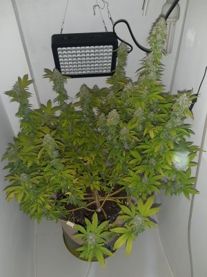 20221214_103434.jpg 20221214_103434.jpg