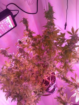 20221214_103408.jpg 20221214_103408.jpg