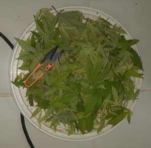 20221214_103225.jpg 20221214_103225.jpg