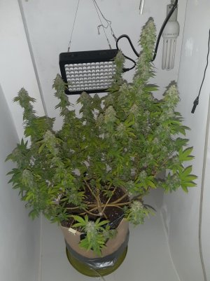 20221214_120143.jpg 20221214_120143.jpg