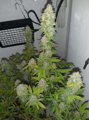 20221214_120116.jpg 20221214_120116.jpg