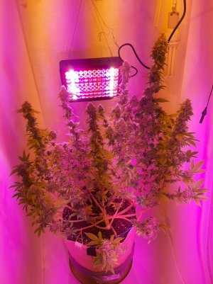 20221214_120103.jpg 20221214_120103.jpg