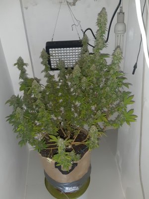 20221214_120039.jpg 20221214_120039.jpg