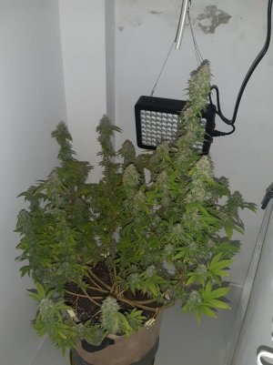 20221214_120027.jpg 20221214_120027.jpg