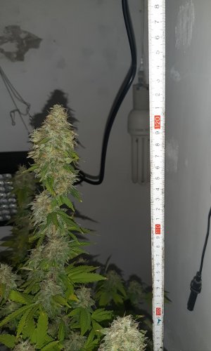 20221214_115753.jpg 20221214_115753.jpg