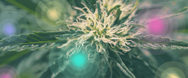 1671033315769.png 1671033315769.png