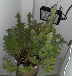 20221215_090359.jpg 20221215_090359.jpg