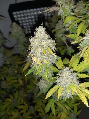 20221215_111520.jpg 20221215_111520.jpg