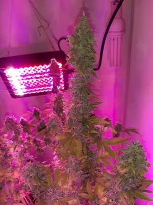 20221215_111435.jpg 20221215_111435.jpg