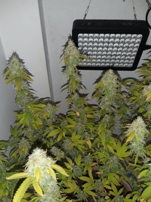 20221215_112540.jpg 20221215_112540.jpg