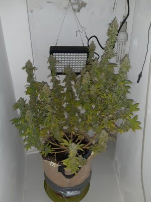 20221215_134434.jpg 20221215_134434.jpg