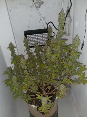 20221215_135214.jpg 20221215_135214.jpg