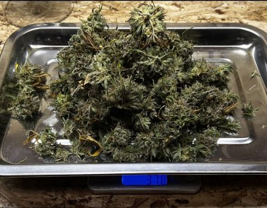 2E2ADED7-A00C-48C8-A513-D85804C6FCDA.jpeg 2E2ADED7-A00C-48C8-A513-D85804C6FCDA.jpeg