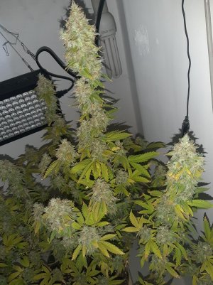 20221216_085347.jpg 20221216_085347.jpg