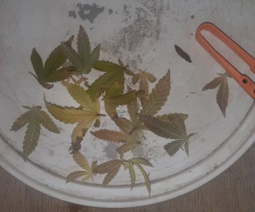 20221216_090023.jpg 20221216_090023.jpg