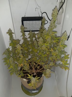 20221216_094738.jpg 20221216_094738.jpg