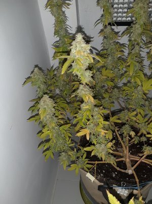 20221216_094726.jpg 20221216_094726.jpg