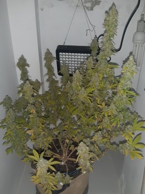 20221216_094553.jpg 20221216_094553.jpg