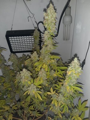 20221216_094626.jpg 20221216_094626.jpg