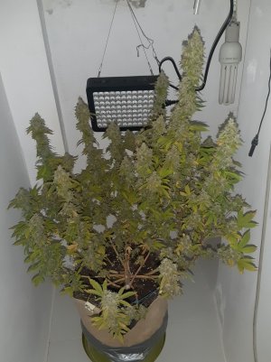 20221216_095626.jpg 20221216_095626.jpg