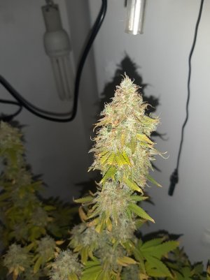 20221216_095601.jpg 20221216_095601.jpg