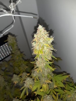 20221216_105703.jpg 20221216_105703.jpg