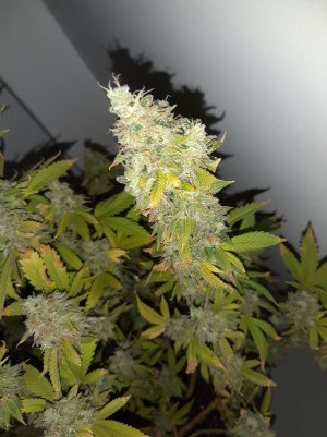 20221216_105651.jpg 20221216_105651.jpg