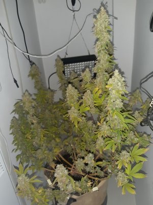 20221216_122545.jpg 20221216_122545.jpg