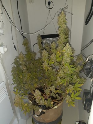 20221216_122615.jpg 20221216_122615.jpg