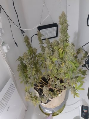 20221216_122604.jpg 20221216_122604.jpg