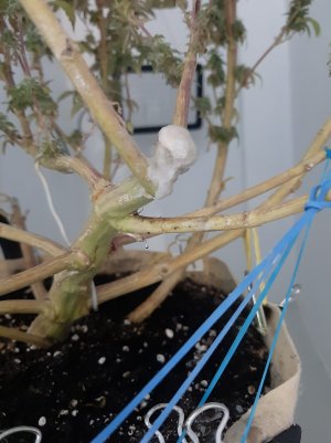 20221216_122450.jpg 20221216_122450.jpg