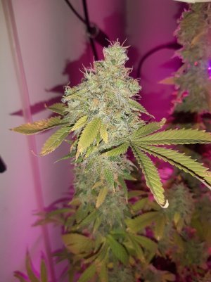 20221216_135024.jpg 20221216_135024.jpg