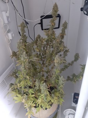 20221217_122053.jpg 20221217_122053.jpg