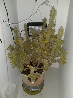 20221217_155713.jpg 20221217_155713.jpg