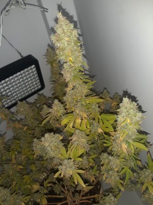 20221217_164838.jpg 20221217_164838.jpg