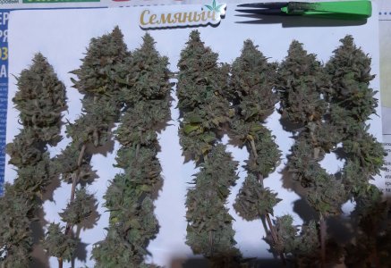 20221217_170256.jpg 20221217_170256.jpg