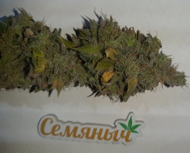 20221217_170416.jpg 20221217_170416.jpg