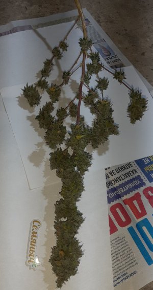 20221217_170430.jpg 20221217_170430.jpg