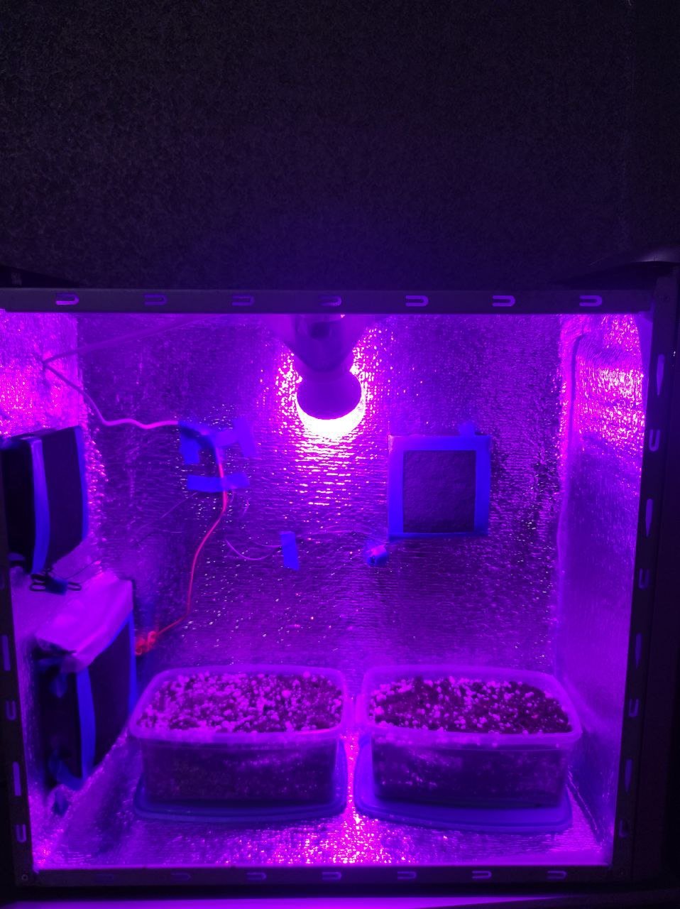 photo_2022-12-18_01-15-36 (2).jpg