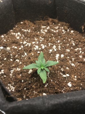 imgonline-com-ua-dexifHCIrs0PSCJzZ.jpg imgonline-com-ua-dexifHCIrs0PSCJzZ.jpg