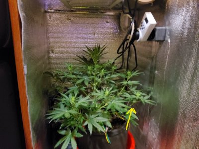 20221216_072948.jpg 20221216_072948.jpg