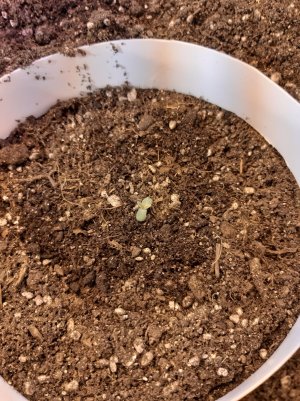 20221219_140846.jpg 20221219_140846.jpg