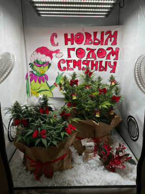 1671453996890.png 1671453996890.png