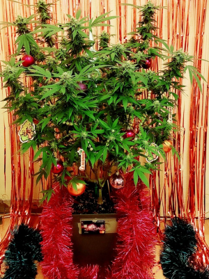 1671454825071.png 1671454825071.png