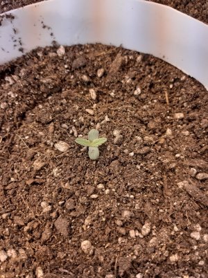 20221220_093140.jpg 20221220_093140.jpg