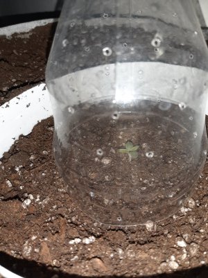 20221220_093153.jpg 20221220_093153.jpg